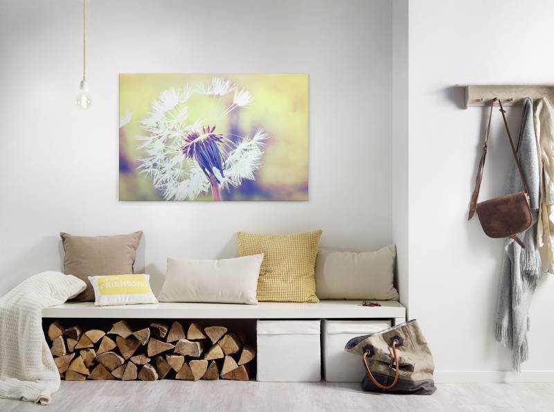 A.S. Création Leinwandbild "Dandelion" Gemälde  Kunst 1 Stk. tlg. Pusteblume Keilrahmen Leinwand-Bild Wohnzimmer modern Wandbild Kinder von A.S. Création