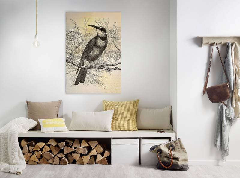 A.S. Création Leinwandbild "vintage birds" Gemälde  Kunst 1 Stk. tlg. Vogel Keilrahmen Bild Leinwand-Bild Wohnzimmer modern Wandbild Kinder von A.S. Création