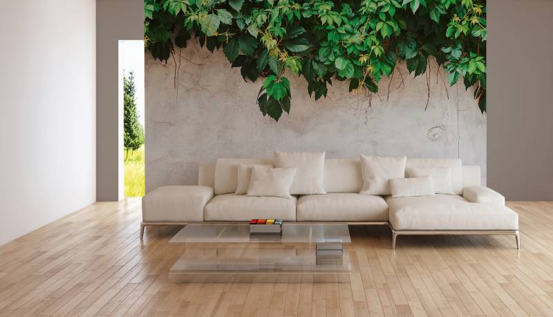 A.S. Création Vliestapete "Fototapete Efeu auf Putzoptik Weiß Grün" matt strukturiert von A.S. Création