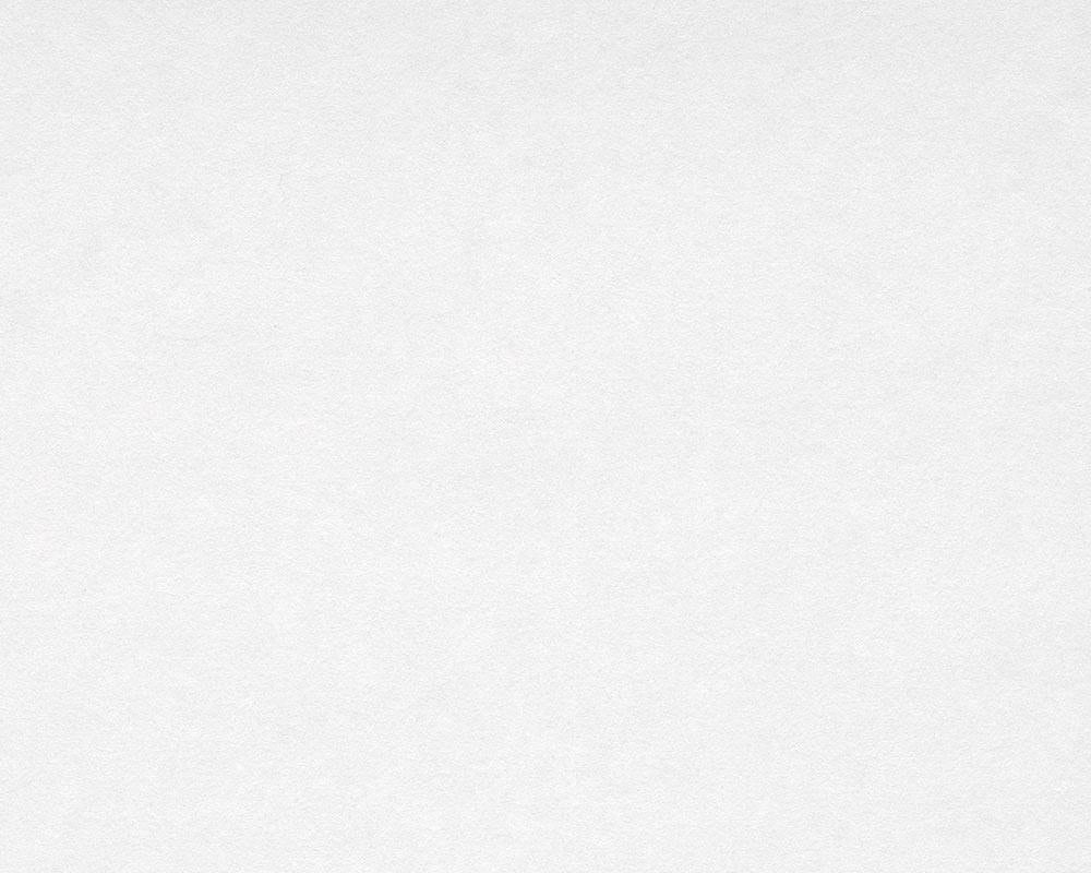 A.S. Création Vliestapete "Glattvlies Renoviervlies Makulaturvlies" einfarbig  uni  unifarben glatt Vlies, Wand, Decke, Schräge Tapeten Wohnzimmer Schlafzimmer Küche Flur von A.S. Création