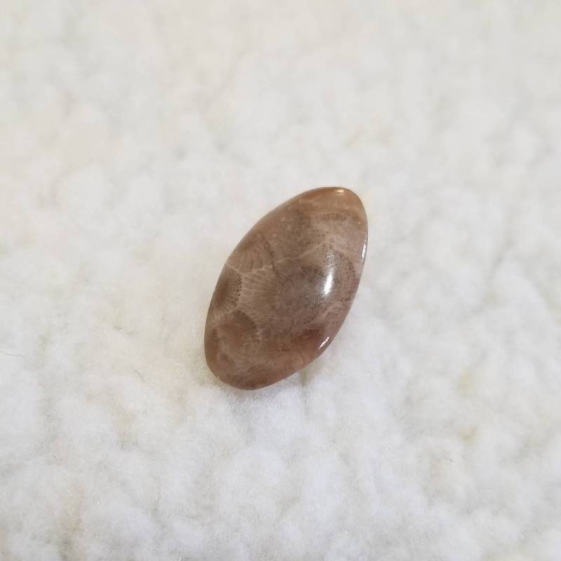 Vintage Hand Gefertigt Oval Geformt Petoskey Stein Silber Krawattenklammer Vintage Hand Gefertigt Oval Geformt Petoskey Stein Silber Krawattenklammer von A2UrbanvixenArt