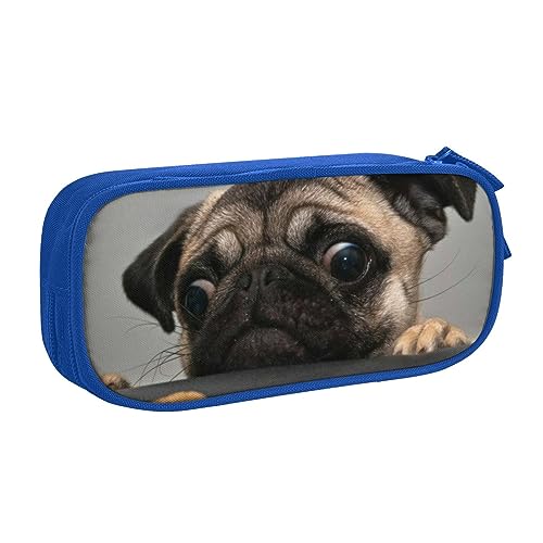 AABSTBFM Pretty Pug Federmäppchen mit Reißverschluss, Schwarz, großes Fassungsvermögen, für Schule, Büro und Reisen, blau, Einheitsgröße, Schulranzen von AABSTBFM