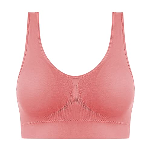 AACH Damen Seamless Sport BH mit Merfarben ReizwäSche Wohlfühl BHS Erhöht Glatter Dessous Ohne Bügel Bügelloser Bra Ultrakomfortabler Tshirt ReizwäSche Damenpullover Langarm Winter Sale von AACH