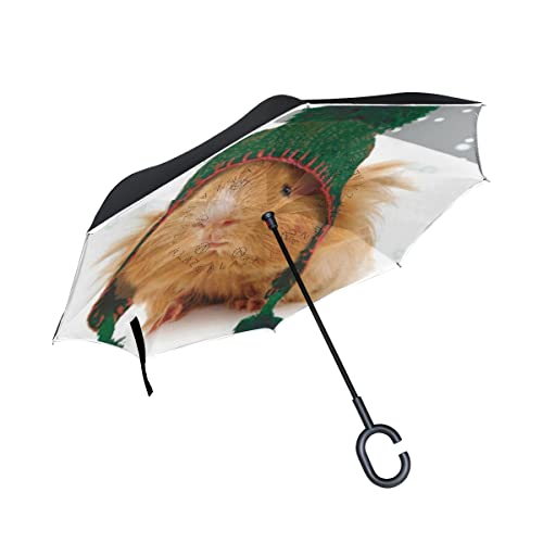 AAHENPAI Meerschweinchen umgekehrt Auto Unigue Winddicht UV Proof Doppelschicht für Damen von AAHENPAI