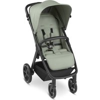 ABC DESIGN Buggy Avus Pine Kollektion 2023 von ABC Design