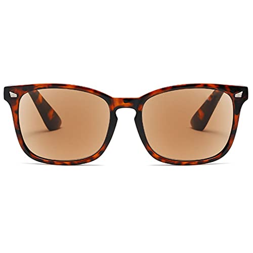 ABETOS Sonnenbrille Lesebrille Damen Herren Getönte Lesebrillen mit Sonnenschutz Klassischer Lesehilfe Sehhilfe mit Sehstärke 0.0 0.5 1.0 1.5 2.0 2.5 3.0, Schildpatt+1.25 von ABETOS
