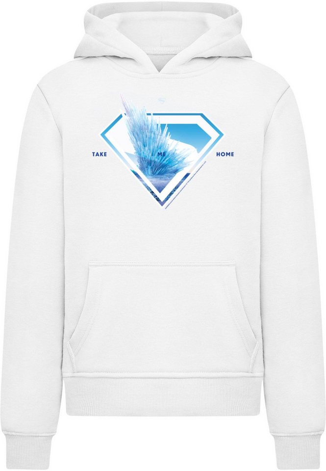 ABSOLUTE CULT Kapuzensweatshirt ABSOLUTE CULT (1-tlg) von ABSOLUTE CULT