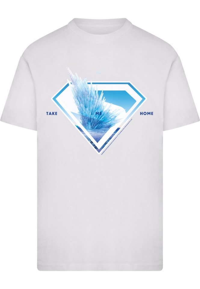 ABSOLUTE CULT T-Shirt ABSOLUTE CULT Superman Logo Svalbard Take Me Home T-Shirt (1-tlg) von ABSOLUTE CULT