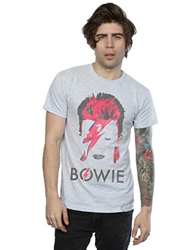 David Bowie Herren Aladdin Sane Distressed T-Shirt Large Heather Grey von ABSOLUTECULT