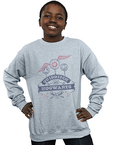 Harry Potter Jungen Quidditch at Hogwarts Sweatshirt Sport Grau 9-11 Years Harry Potter Jungen Quidditch at Hogwarts Sweatshirt Sport Grau 9-11 Years von ABSOLUTECULT
