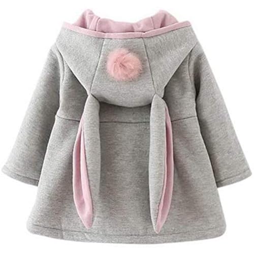 Baby Mädchen Mäntel aus Baumwolle Frühlung Herbst Winter Jache mit Kapuze Kleinkinder Warm Kleidung Mädchen Mäntel mit Haarballen Kaninchen Ohr Kleinkinder warm Kleidung (3-6 Monate) von ACMEDE