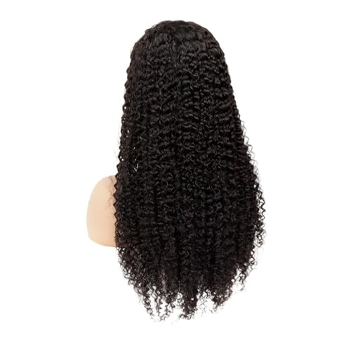 Damen-Perücke mit gelocktem Haar, Spitzenkopfbedeckungsperücke, Faserperücke, hitzebeständige geflochtene Haarperücke (Color : 16inch) von AD-BCrbgen