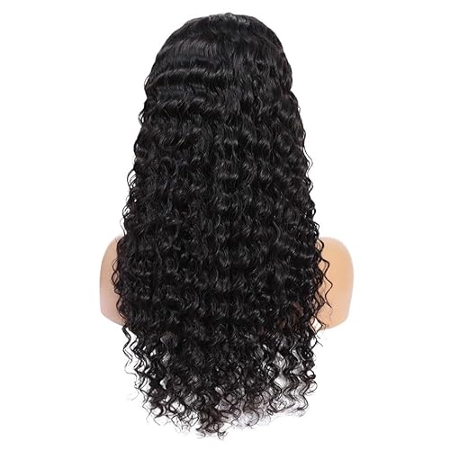 Damen-Perücke mit gelocktem Haar, Spitzenkopfbedeckungsperücke, Faserperücke, hitzebeständige geflochtene Haarperücke (Color : 20inch) von AD-BCrbgen