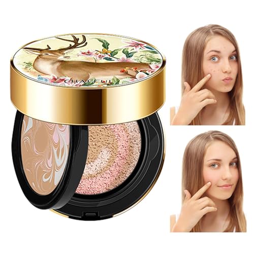 Kissen-Make-up | Feuchtigkeitsspendende Concealer-Grundierung mit spiegelndem, nicht fettendem Luftpolster,Make-up-Zubehör für Dating, Reisen, Zuhause, Arbeiten, Einkaufen, Treffen Adern von ADERN