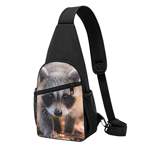 Cub Raccoon Casual One Shoulder Cross Body Chest Bag Wallet Phone Bag Men'S Cross Body Bag Travel Walking Waist Bag, Schwarz , Einheitsgröße von ADFSHIDS