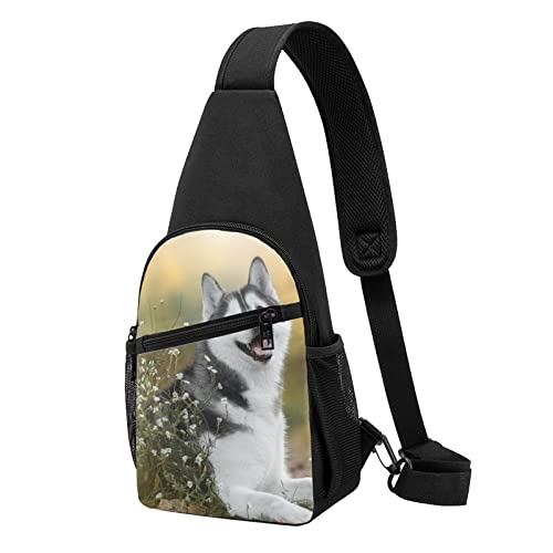 Nette Hunde Casual Eine Schulter Kreuz Körper Brust Tasche Brieftasche Telefon Tasche Männer Crossbody Tasche Reise Walking Taille Tasche, Schwarz , Einheitsgröße von ADFSHIDS