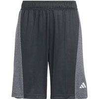 Sporthose von ADIDAS SPORTSWEAR