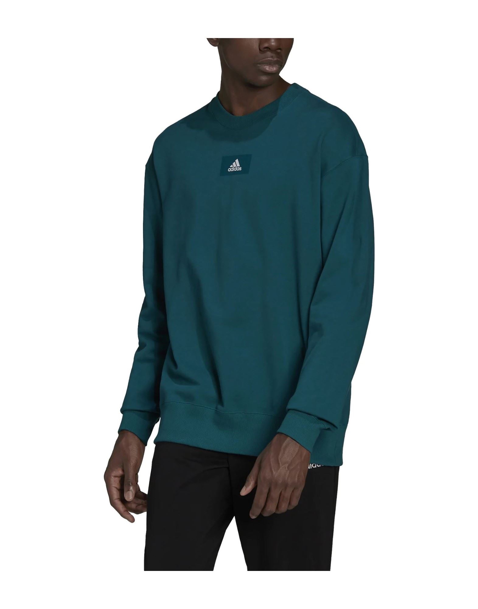 ADIDAS Sweatshirt Herren Grün von ADIDAS