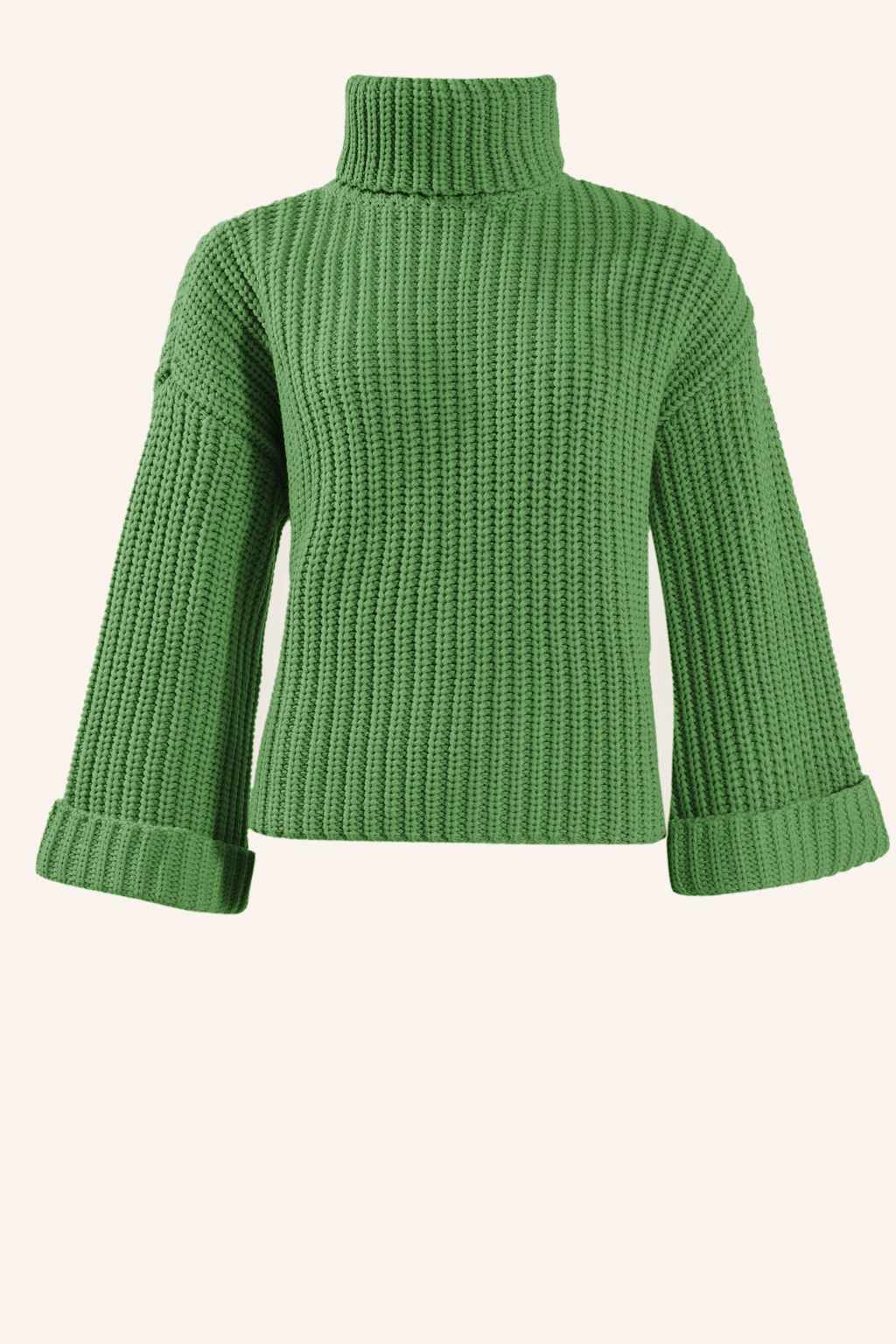 Adlysh Chunky Rollkragen Pullover gruen von ADLYSH