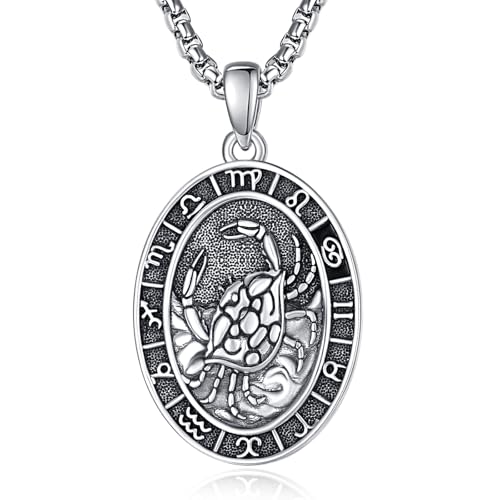 ADMETUS Sternzeichen Krebs Anhänger Kette Silber 925 Krebs Halskette Herren Tierkreiszeichen Anhänger Schmuck Sternzeichen Konstellation Kette Geschenke für Männer von ADMETUS
