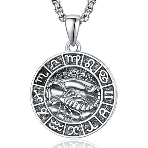 Sternzeichen Skorpion Anhänger Kette Silber Skorpion Halskette Herren Tierkreiszeichen Anhänger Schmuck Sternzeichen Konstellation Kette Geschenke für Männer von ADMETUS