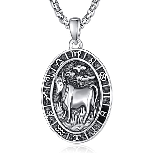 Sternzeichen Stier Anhänger Kette Silber 925 Stier Halskette Herren Tierkreiszeichen Anhänger Schmuck Sternzeichen Konstellation Kette Geschenke für Männer von ADMETUS
