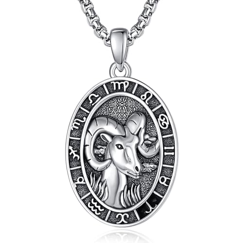 Sternzeichen Widder Anhänger Kette Silber 925 Widder Halskette Herren Tierkreiszeichen Anhänger Schmuck Sternzeichen Konstellation Kette Geschenke für Männer von ADMETUS
