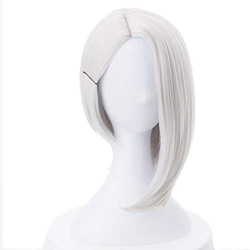 2019 Ashe Cosplay Perücke 30 cm Kurzes gerades hitzebeständiges Synthetisches Haar Ow. Spielperücke Silber-White-Kostüm Party Perücke von ADTEMP