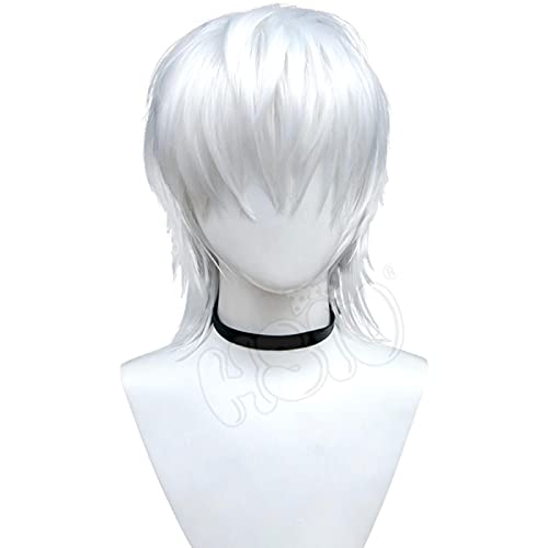 Accelerator Perücke Anime Toaru Majutsu Kein Index Cosplay Weiß Kurze Haarfaser Synthetische Perücke + Marke Perücke Kappe von ADTEMP