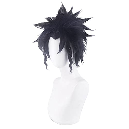 Anime. JoJo. Bizarres Abenteuer Kujo Jotaroh Perücke Cosplay Perücke Rollenspiel Mixed Black Blue Color 30cm von ADTEMP