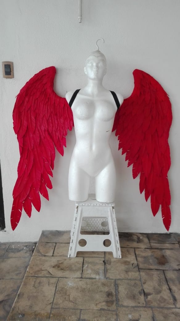 Flügel Für Cosplay-Engelskostüm in Jeder Farbe Erhältlich Flügel Für Cosplay-Engelskostüm in Jeder Farbe Erhältlich von AERYINGS