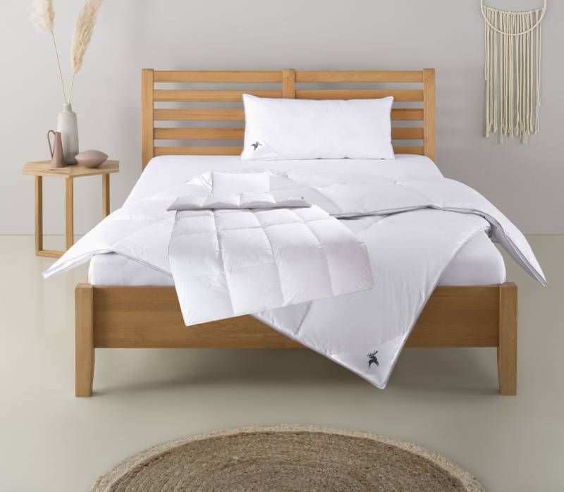 Älgdröm Daunenbettdecke + Kopfkissen "Lodiken, Bettdecke 135x200 cm, 155x220 cm, Decke Made in Germany" Set mit Kissen 40x80 cm, 80x80 cm, Frühling, Sommer, Herbst, Winter von Älgdröm
