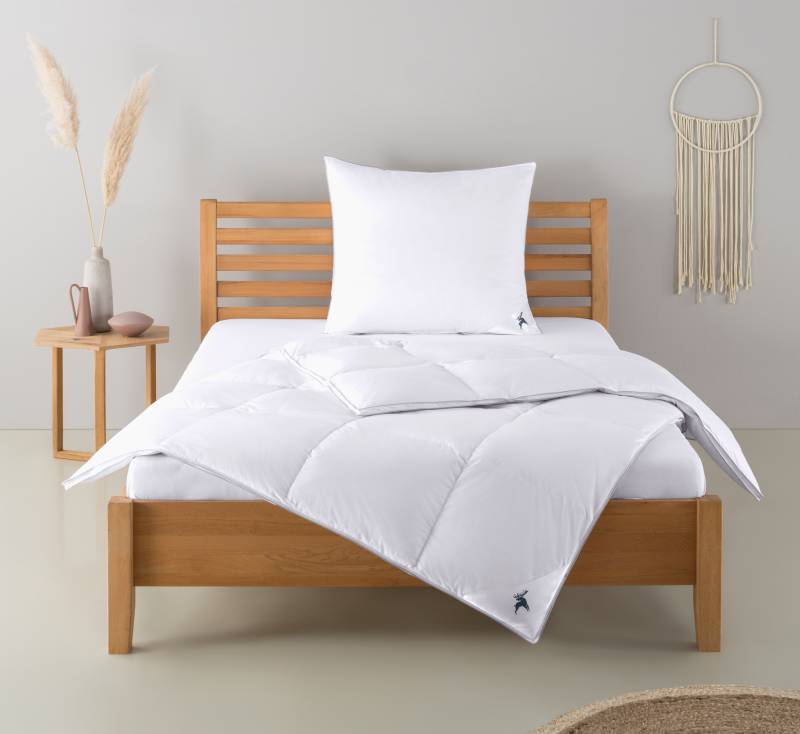 Älgdröm Daunenbettdecke + Kopfkissen "Lodiken, Bettdecke 135x200 cm, 155x220 cm, Decke Made in Germany" Set mit Kissen 40x80 cm, 80x80 cm, Frühling, Sommer, Herbst, Winter von Älgdröm