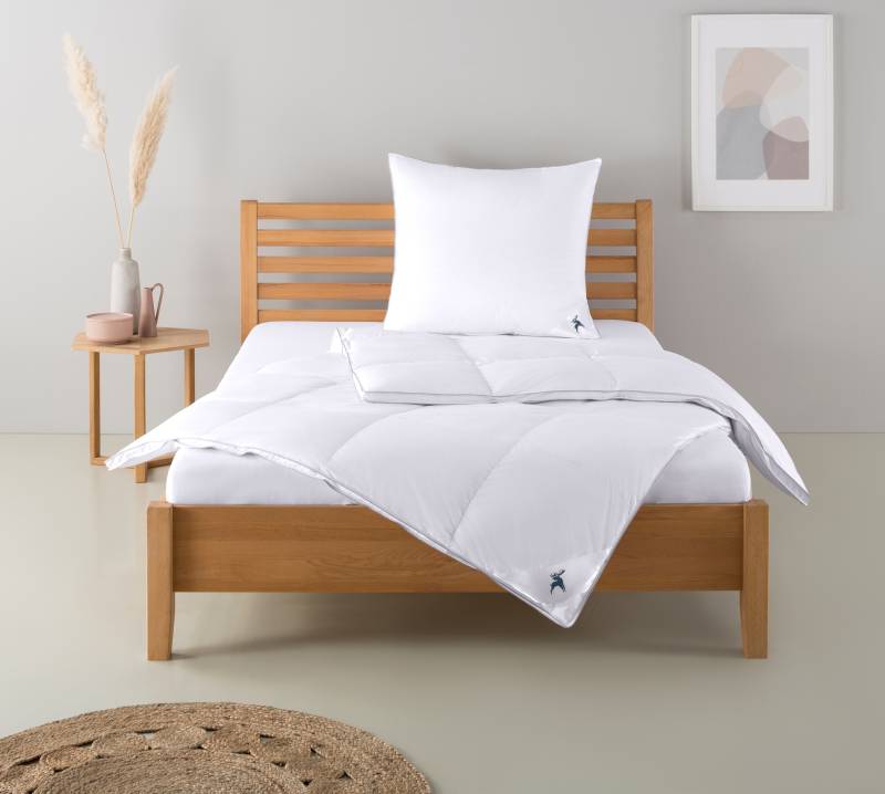 Älgdröm Daunenbettdecke + Kopfkissen "Lodiken, Bettdecke 135x200 cm, 155x220 cm, Decke Made in Germany" Set mit Kissen 40x80 cm, 80x80 cm, Frühling, Sommer, Herbst, Winter von Älgdröm