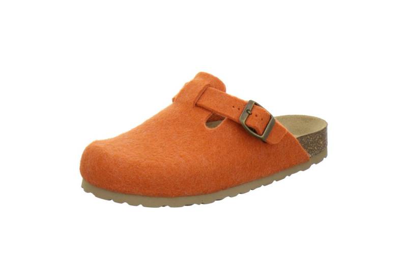 AFS-Schuhe 2690095 Clogs Pantolette für Damen aus Filz mit Fußbett, Made in Germany von AFS-Schuhe