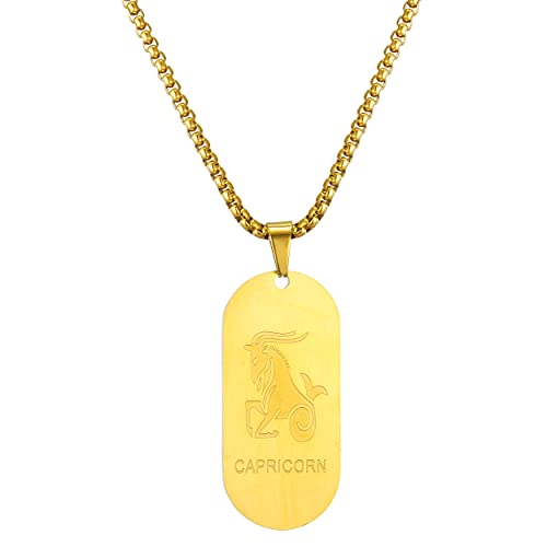 AFSTALR Gold Kette 12 Sternbilder Steinbock Halskette Herren Tierkreis Kette Anhänger Konstellation Kette von AFSTALR