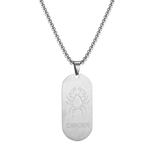 AFSTALR Silber Kette 12 Sternbilder Krebs Halskette Herren Tierkreis Kette Anhänger Konstellation Kette AFSTALR Silber Kette 12 Sternbilder Krebs Halskette Herren Tierkreis Kette Anhänger Konstellation Kette von AFSTALR