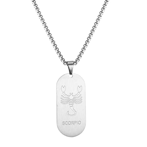 AFSTALR Silber Kette 12 Sternbilder Skorpion Halskette Herren Tierkreis Kette Anhänger Konstellation Kette von AFSTALR