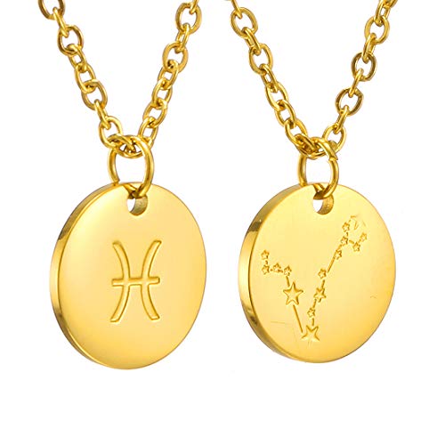 AFSTALR Sternzeichen Kette Fische Gold für Damen Horoskop Kette Mutter Tochter Freunde Geburtstagsgeschenk von AFSTALR