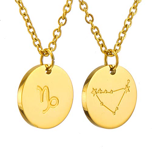 AFSTALR Sternzeichen Kette Steinbock Gold für Damen Horoskop Kette Mutter Tochter Freunde Geburtstagsgeschenk von AFSTALR