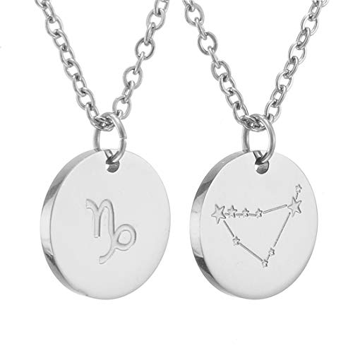 AFSTALR Sternzeichen Kette Steinbock Silber für Damen Horoskop Kette Mutter Tochter Freunde Geburtstagsgeschenk von AFSTALR