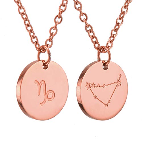 AFSTALR Sternzeichen Kette Steinbock Rosegold für Damen Horoskop Kette Mutter Tochter Freunde Geburtstagsgeschenk von AFSTALR