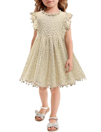 AGQT Baby Mädchen Kleid Hohl Spitze Kleider Flaum Ruffle Ärmel Blumenmädchen Prinzessin Sommerkleid für Kleinkind Kinder Aprikose 12-18 Monate von AGQT