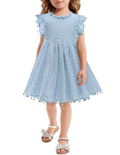 AGQT Baby Mädchen Kleid Hohl Spitze Kleider Flaum Ruffle Ärmel Blumenmädchen Prinzessin Sommerkleid für Kleinkind Kinder Größe 18-24 Monate von AGQT