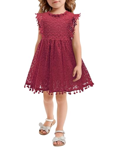 AGQT Baby Mädchen Kleid Hohl Spitze Kleider Flaum Ruffle Ärmel Blumenmädchen Prinzessin Sommerkleid für Kleinkind Kinder Rotwein 12-18 Monate von AGQT