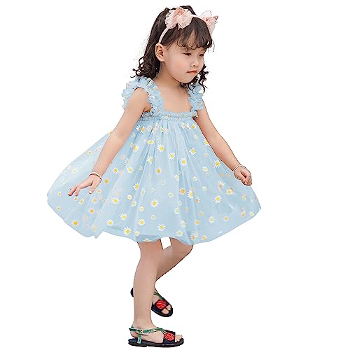 AGQT Baby Mädchen Tüll Kleid,Infant Partykleid Ärmelloses Tutu Geburtstag Kleid Hellblau Gänseblümchen-Spitze Blumenmädchen Kleid,Größe 9-12 Monate von AGQT