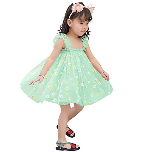 AGQT Baby Mädchen Tüll Kleid,Infant Partykleid Ärmelloses Tutu Geburtstag Kleid Hellgrün Gänseblümchen-Spitze Blumenmädchen Kleid,Größe 9-12 Monate von AGQT