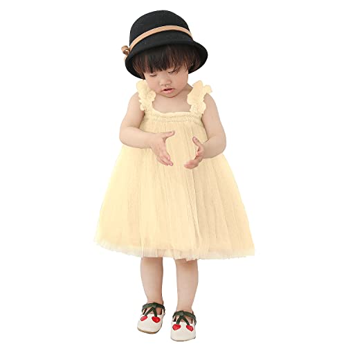 AGQT Baby Mädchen Tüll Kleid,Kinder Baby Partykleid Ärmelloses Tutu Geburtstag Kleid Albicocca Blumenmädchen Kleid,Größe 3-4 Jahre von AGQT