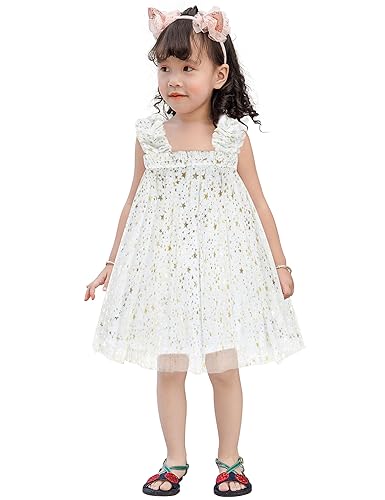 AGQT Baby Mädchen Tüll Kleid,Kinder Partykleid Ärmelloses Tutu Geburtstag Kleid Gänseblümchen-Spitze Blumenmädchen Kleid Kleiner Stern Weiß Große 3-4 Jahr von AGQT