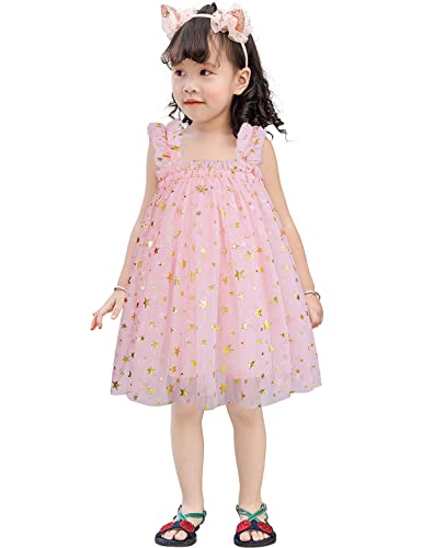 AGQT Baby Mädchen Tüll Kleid,Kleinkind Partykleid Ärmelloses Tutu Geburtstag Kleid Gänseblümchen-Spitze Blumenmädchen Kleid Rosa Große Sterne 12-18 Monate von AGQT